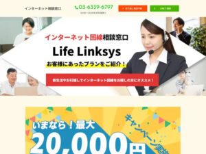 Read more about the article LP 19000円例